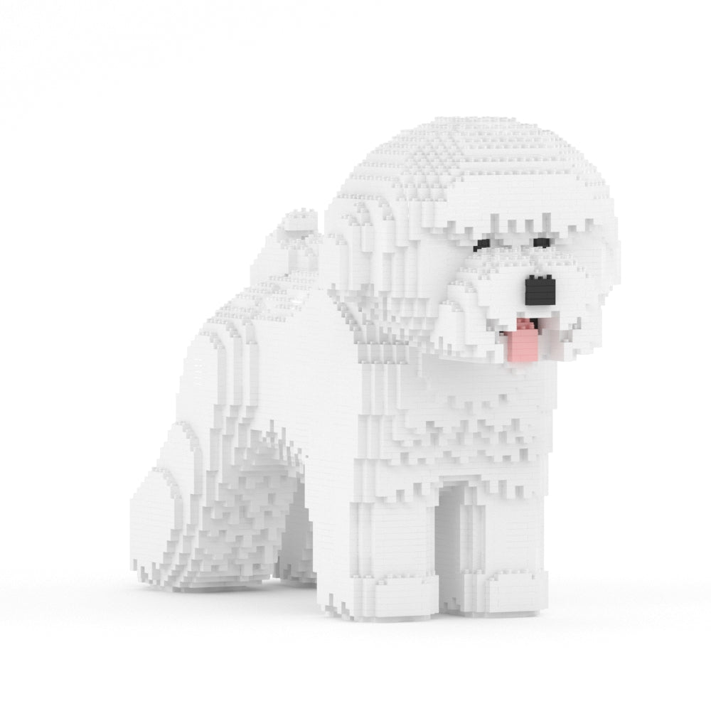 Chien Bichon à poil frisé