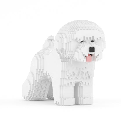 Chien Bichon à poil frisé