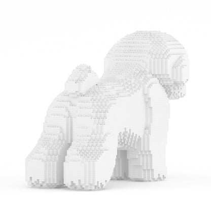 Chien Bichon à poil frisé