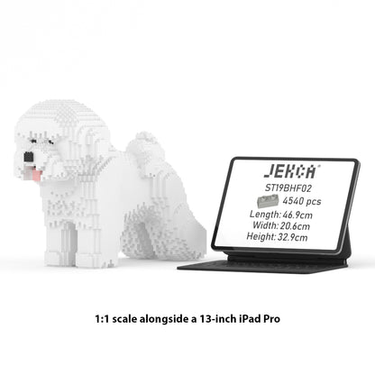 Chien Bichon à poil frisé