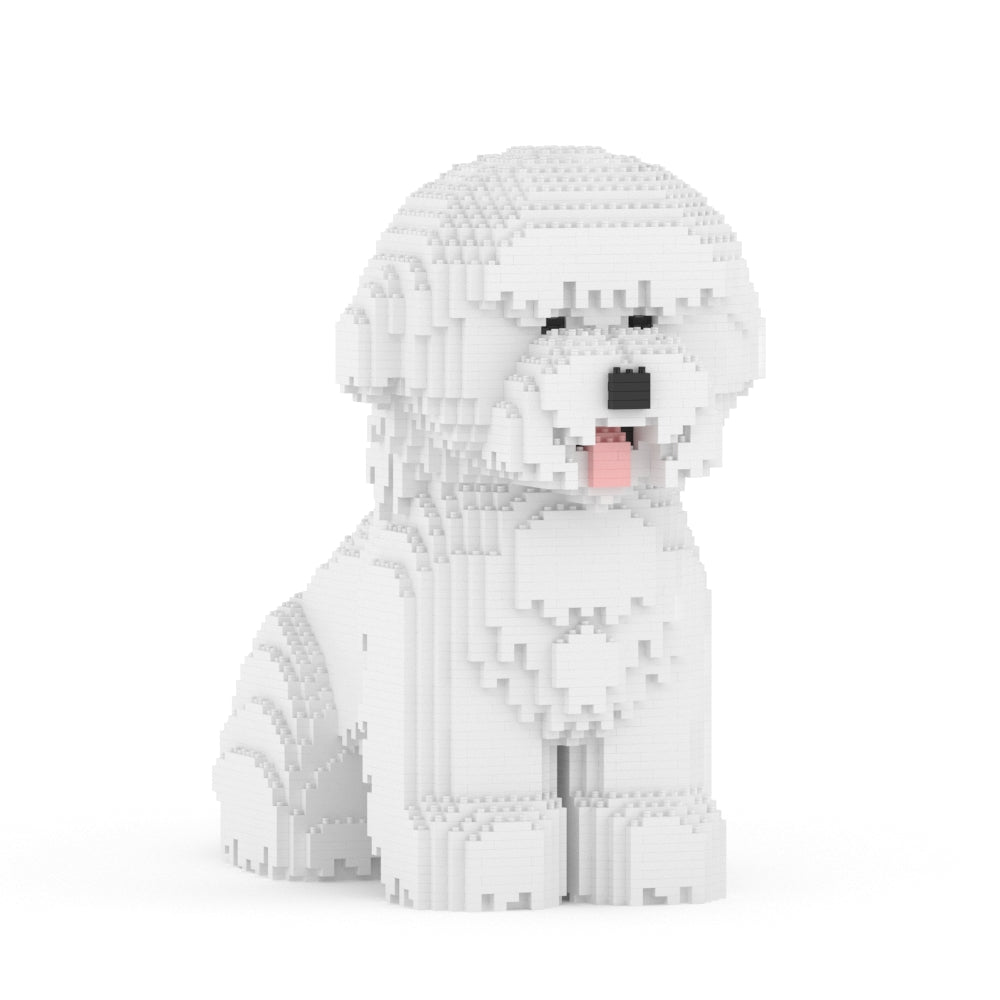 Chien Bichon à poil frisé assis