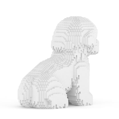 Chien Bichon à poil frisé assis