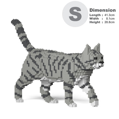 Chat Tigré gris clair