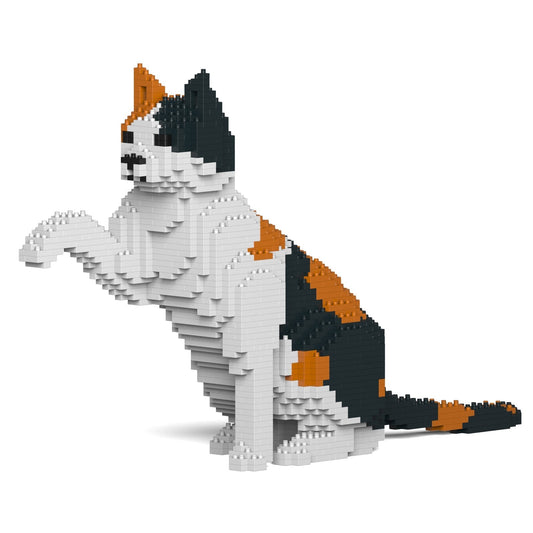 Chat Calico qui donne la patte