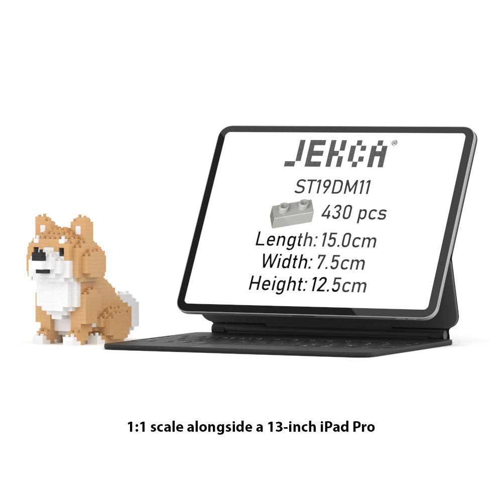 Mini shiba 01