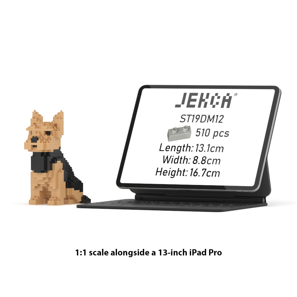 Mini Yorkshire Terrier 01