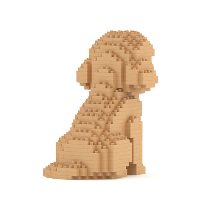 Mini Cockapoo 01