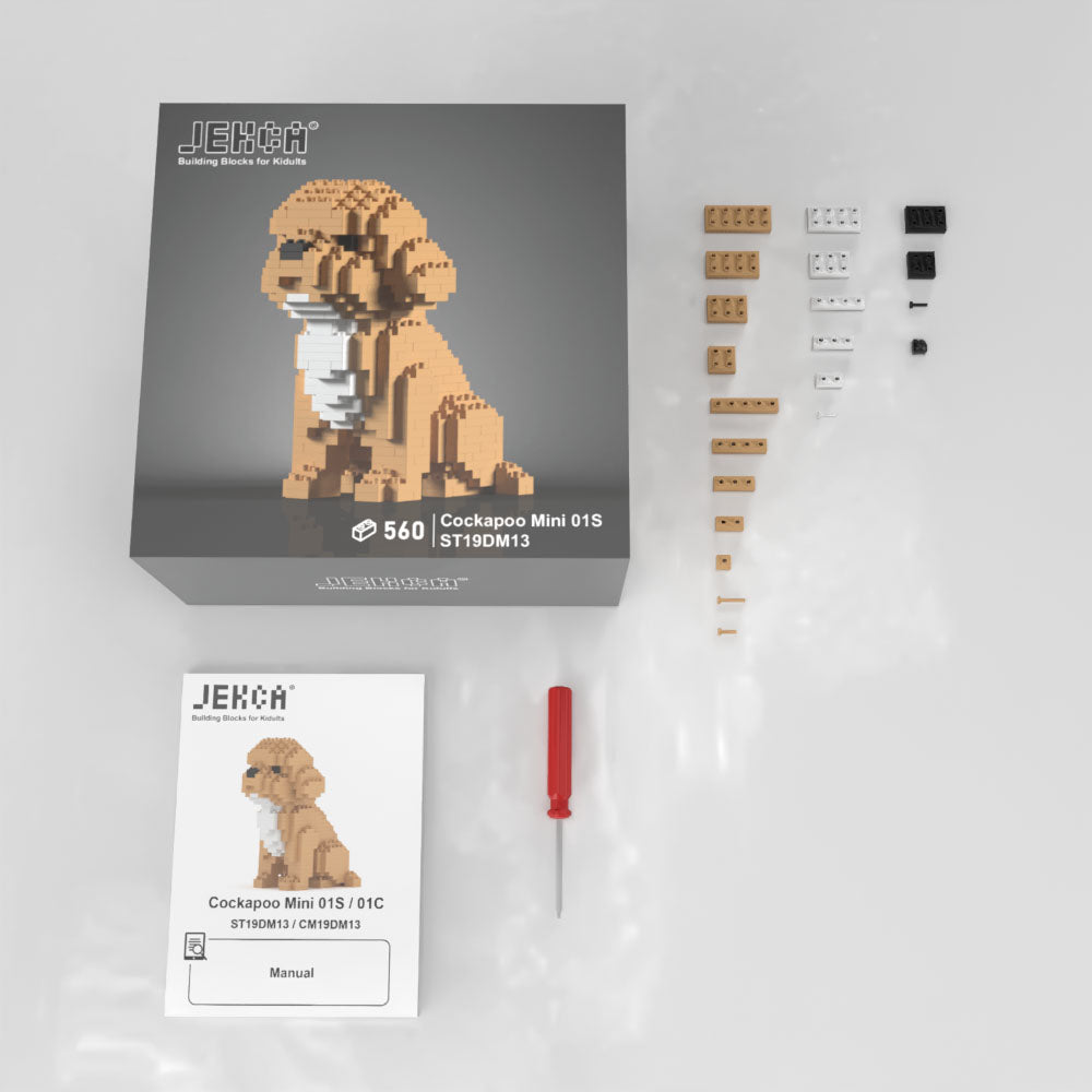 Mini Cockapoo 01