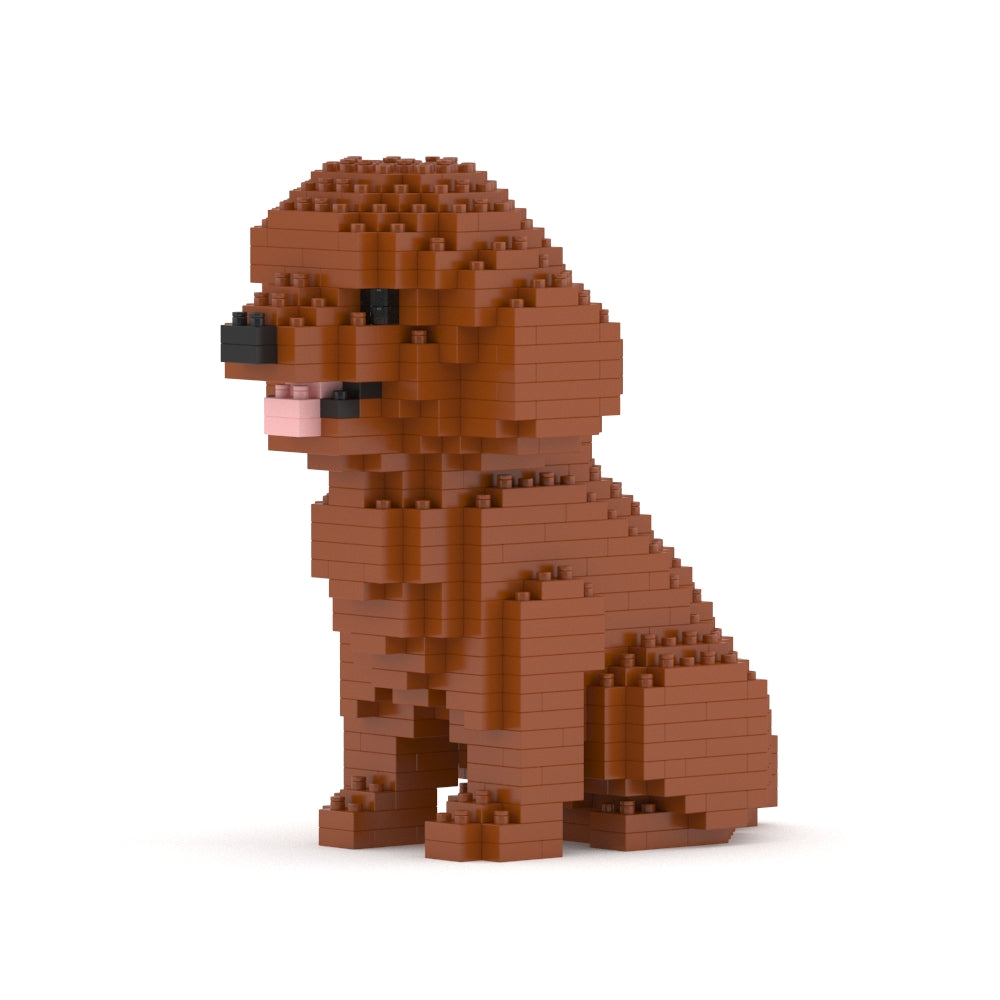 Mini Caniche 01