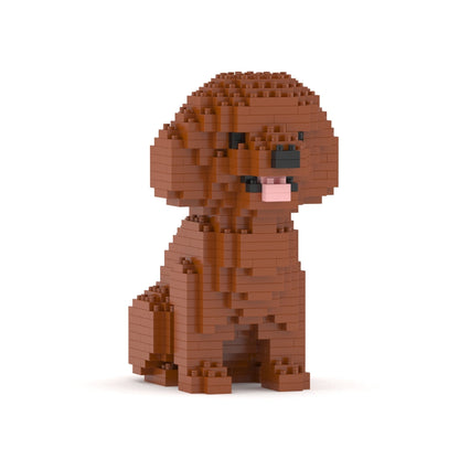 Mini Caniche 01