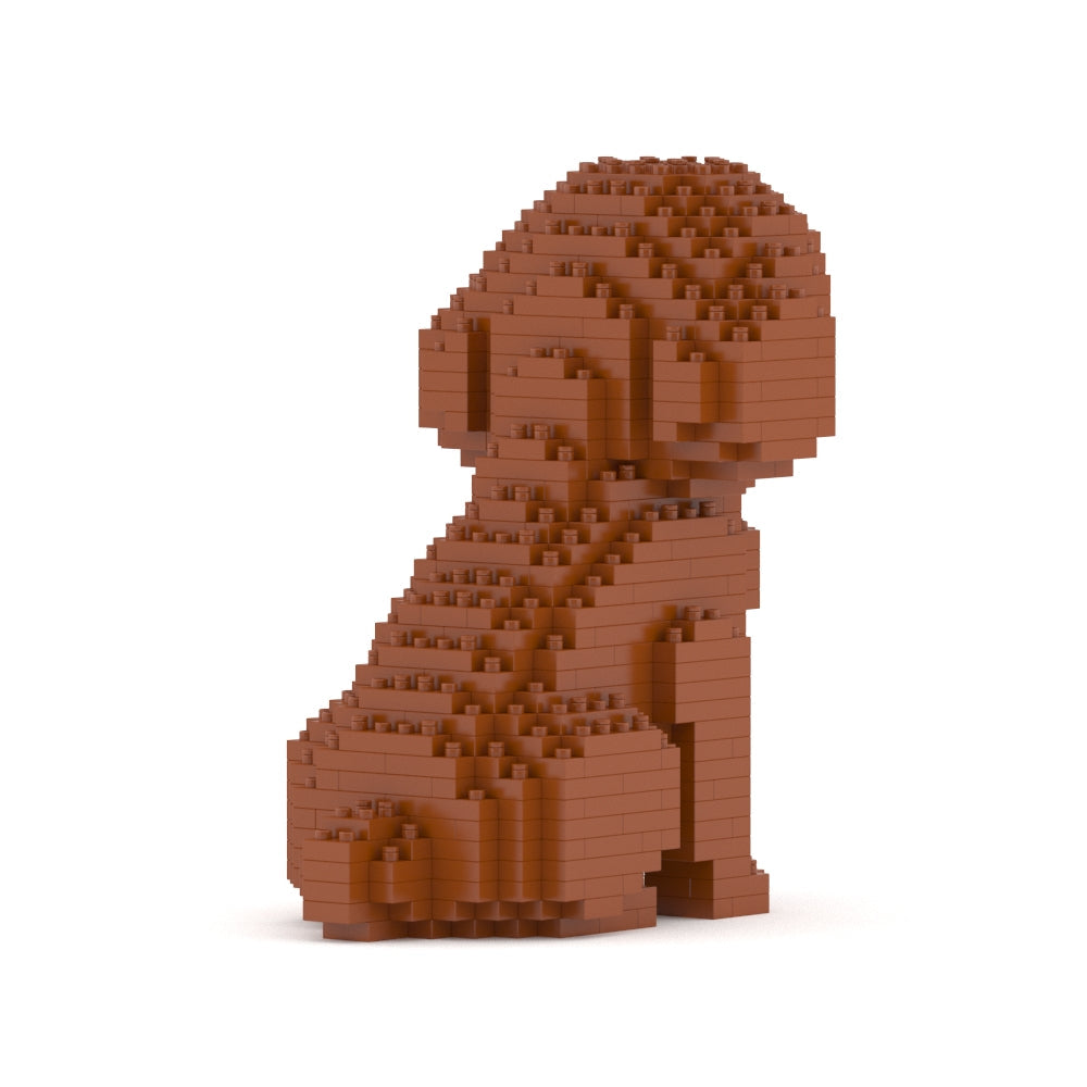 Mini Caniche 01