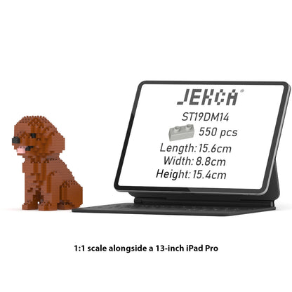 Mini Caniche 01