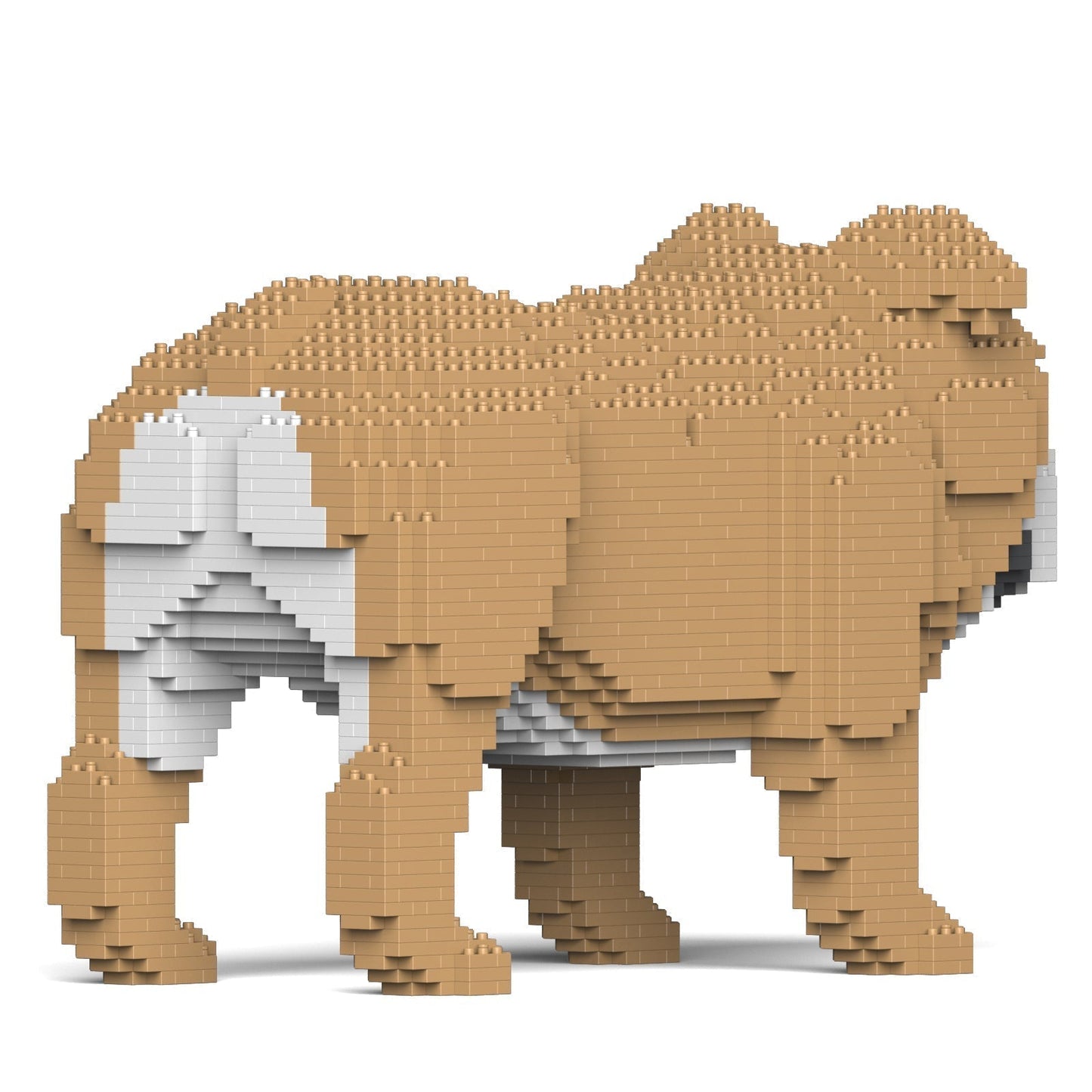 Chien Bulldog Anglais (4 en 1) beige