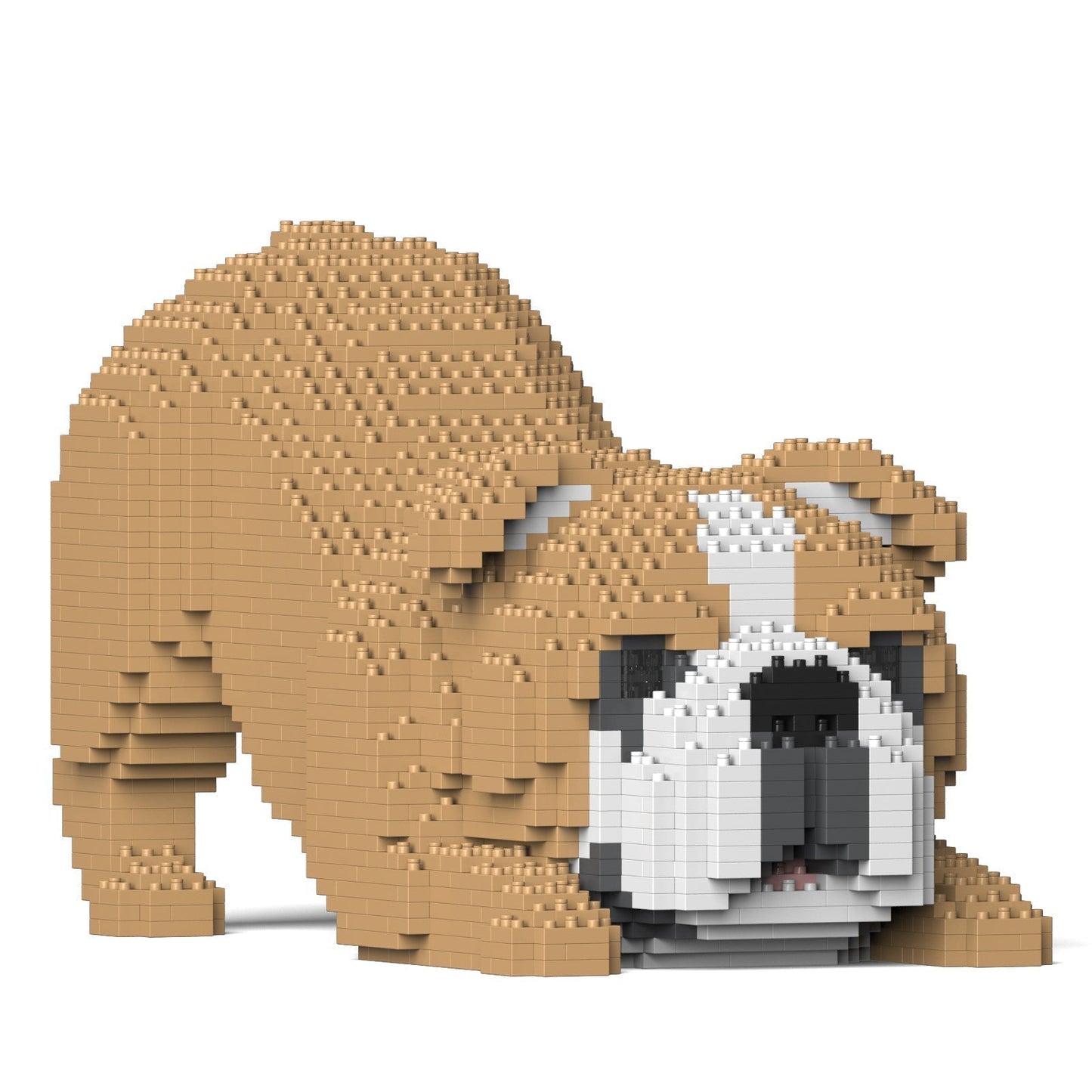 Chien Bulldog Anglais (4 en 1) beige