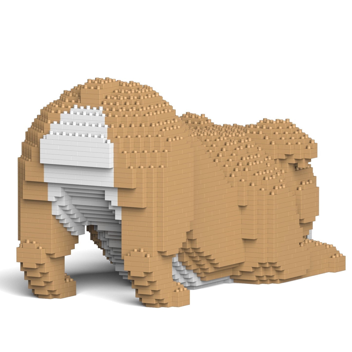 Chien Bulldog Anglais (4 en 1) beige