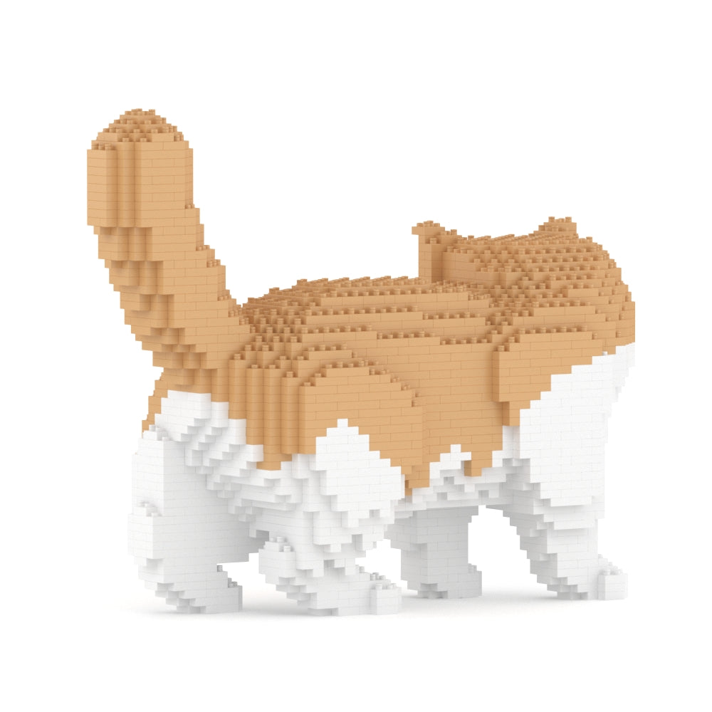 Chat Exotic Shorthair beige