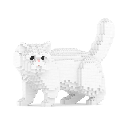 Chat Exotic Shorthair blanc