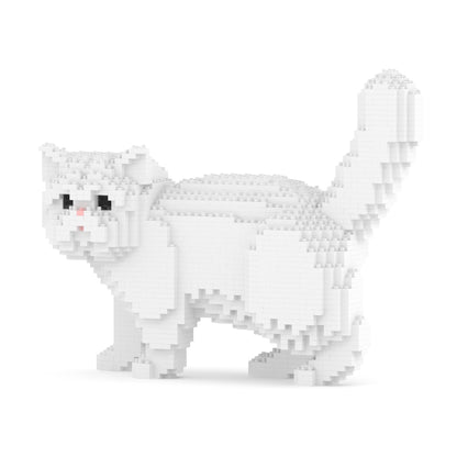 Chat Exotic Shorthair blanc