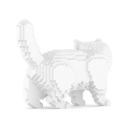 Chat Exotic Shorthair blanc