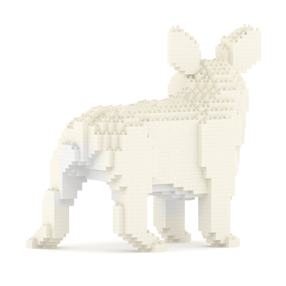 Chien Bouledogue Français qui tourne la tête crème