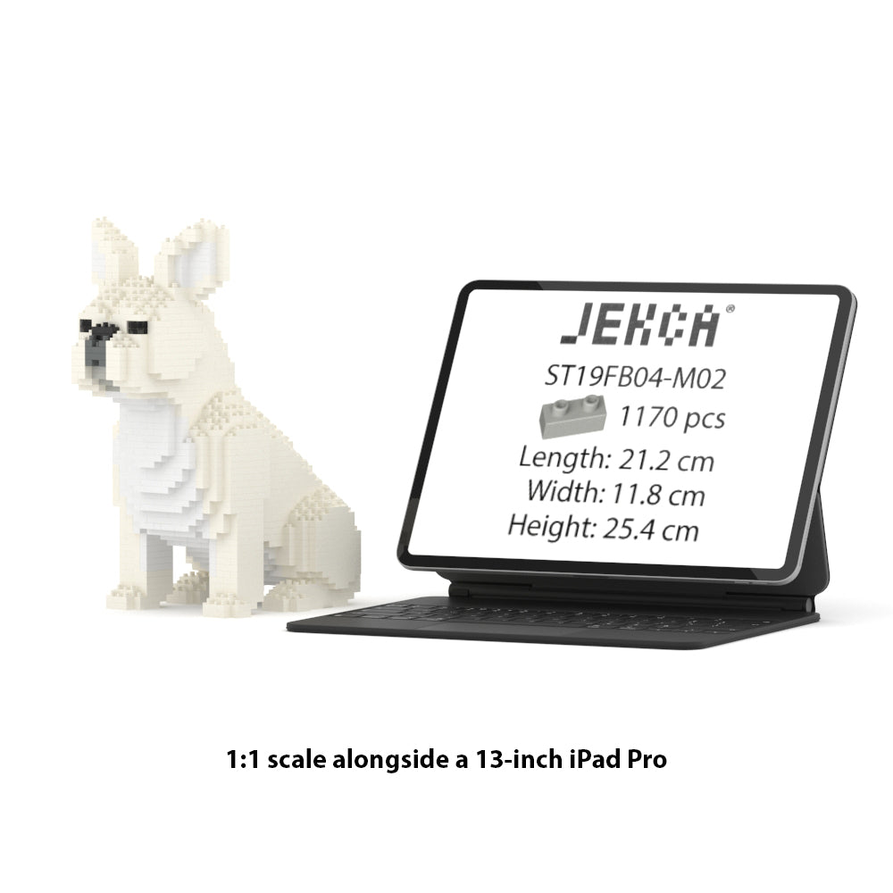 Chien Bouledogue Français assis crème