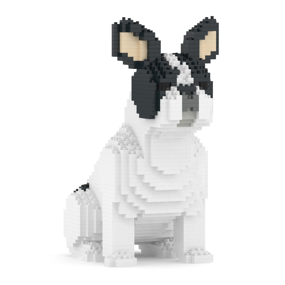 Chien Bouledogue Français assis caille noir