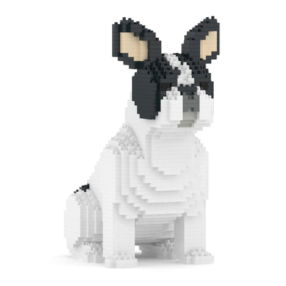 Chien Bouledogue Français assis caille noir