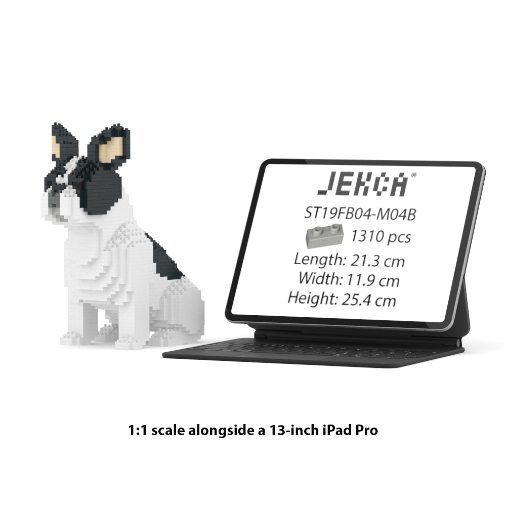 Chien Bouledogue Français assis caille noir