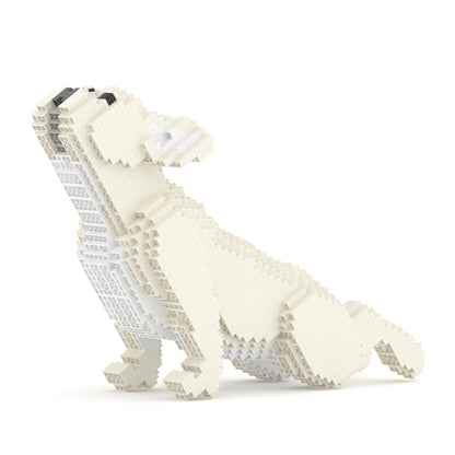 Chien Bouledogue Français qui fait du Yoga crème