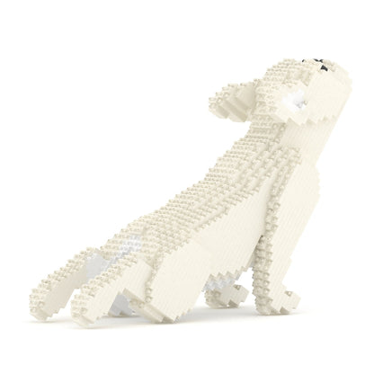 Chien Bouledogue Français qui fait du Yoga crème