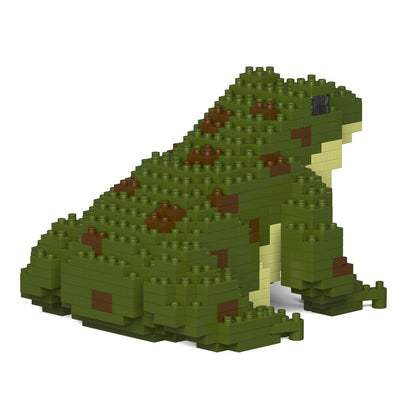 Grenouille verte foncée