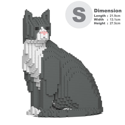 Chat Tuxedo gris assis