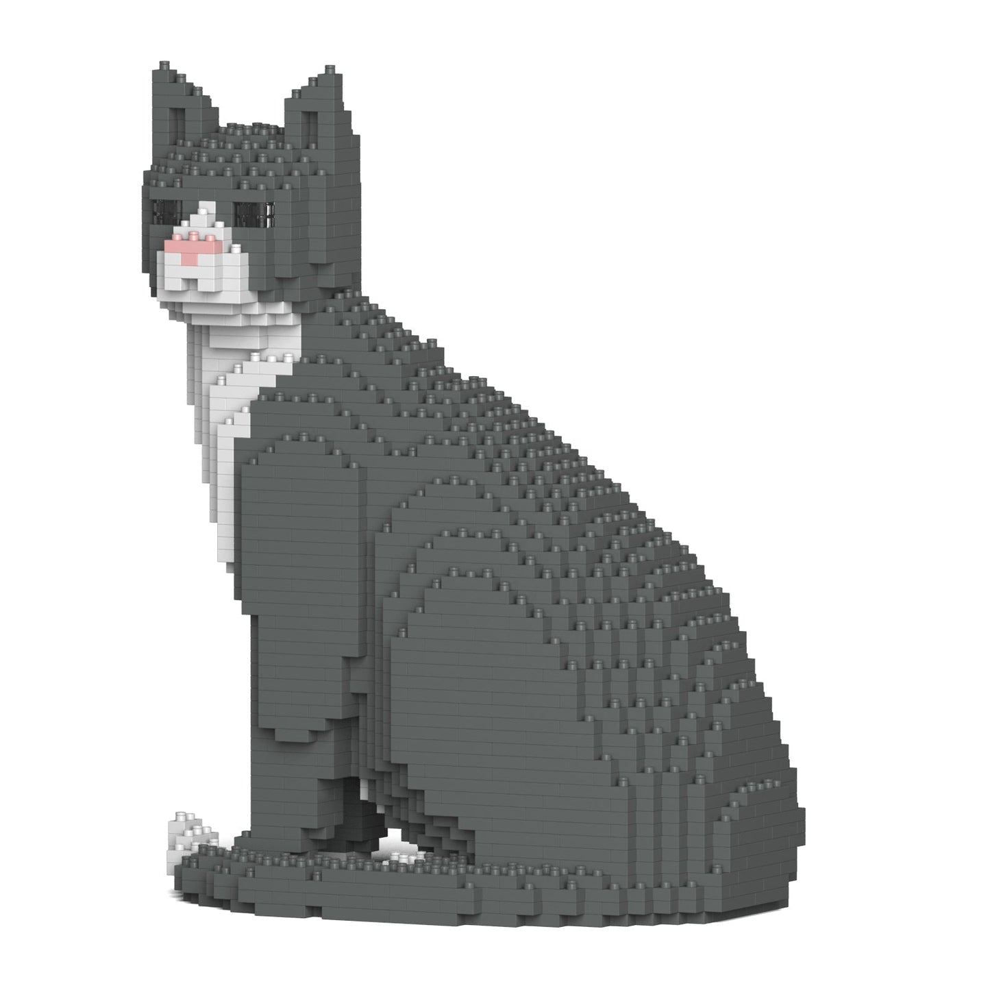 Chat Tuxedo gris assis
