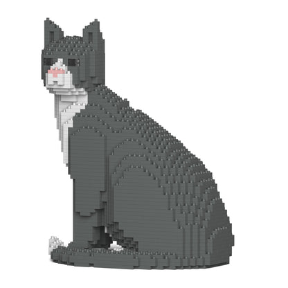 Chat Tuxedo gris assis