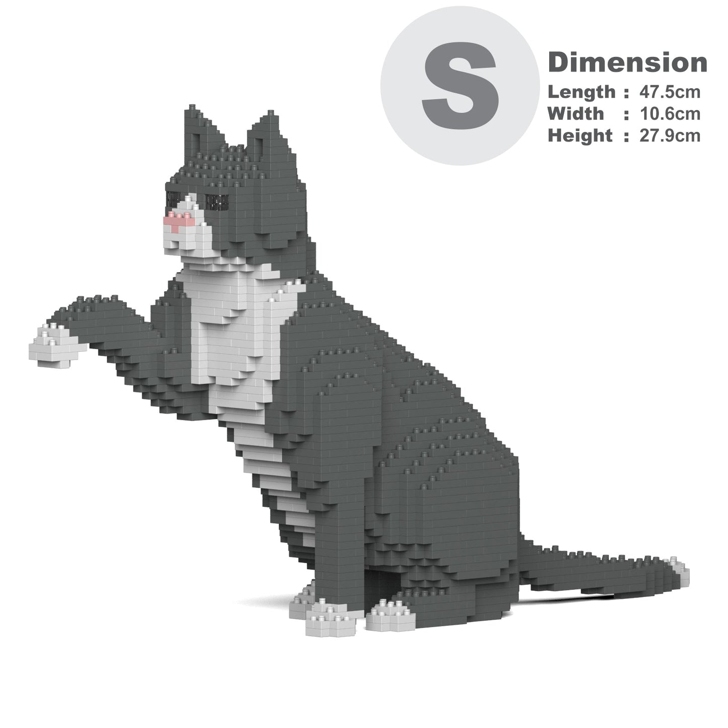 Chat Tuxedo gris qui donne la patte