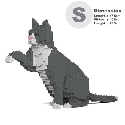 Chat Tuxedo gris qui donne la patte