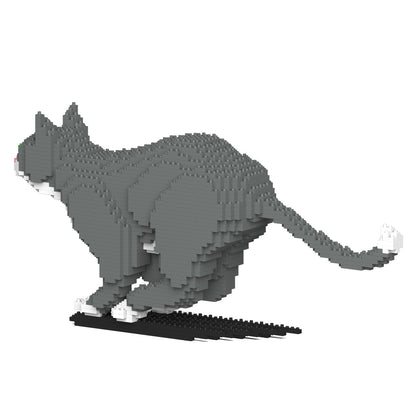 Chat Tuxedo gris qui court