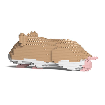 Hamster beige couché