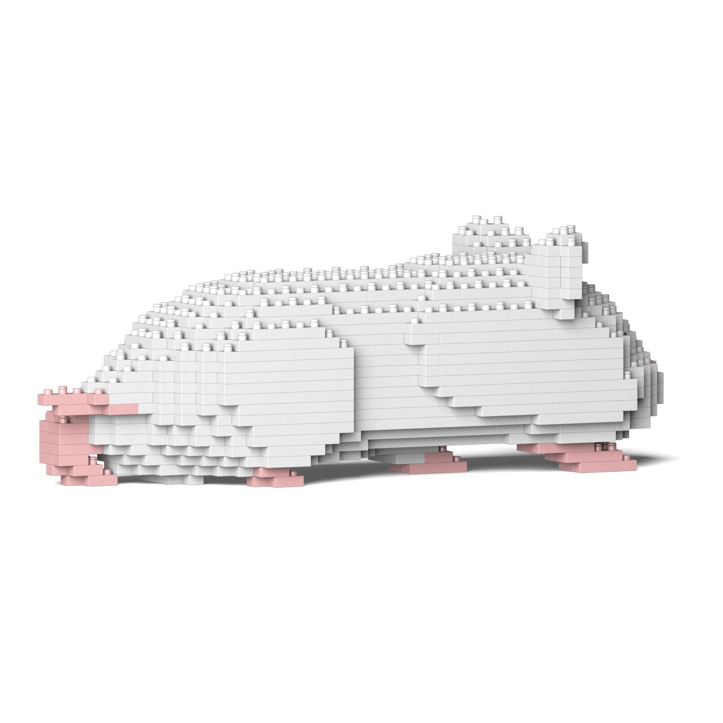 Hamster blanc couché