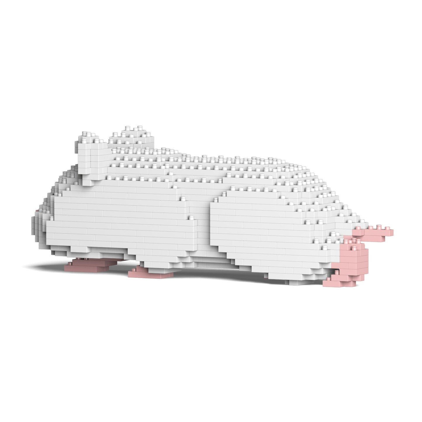 Hamster blanc couché