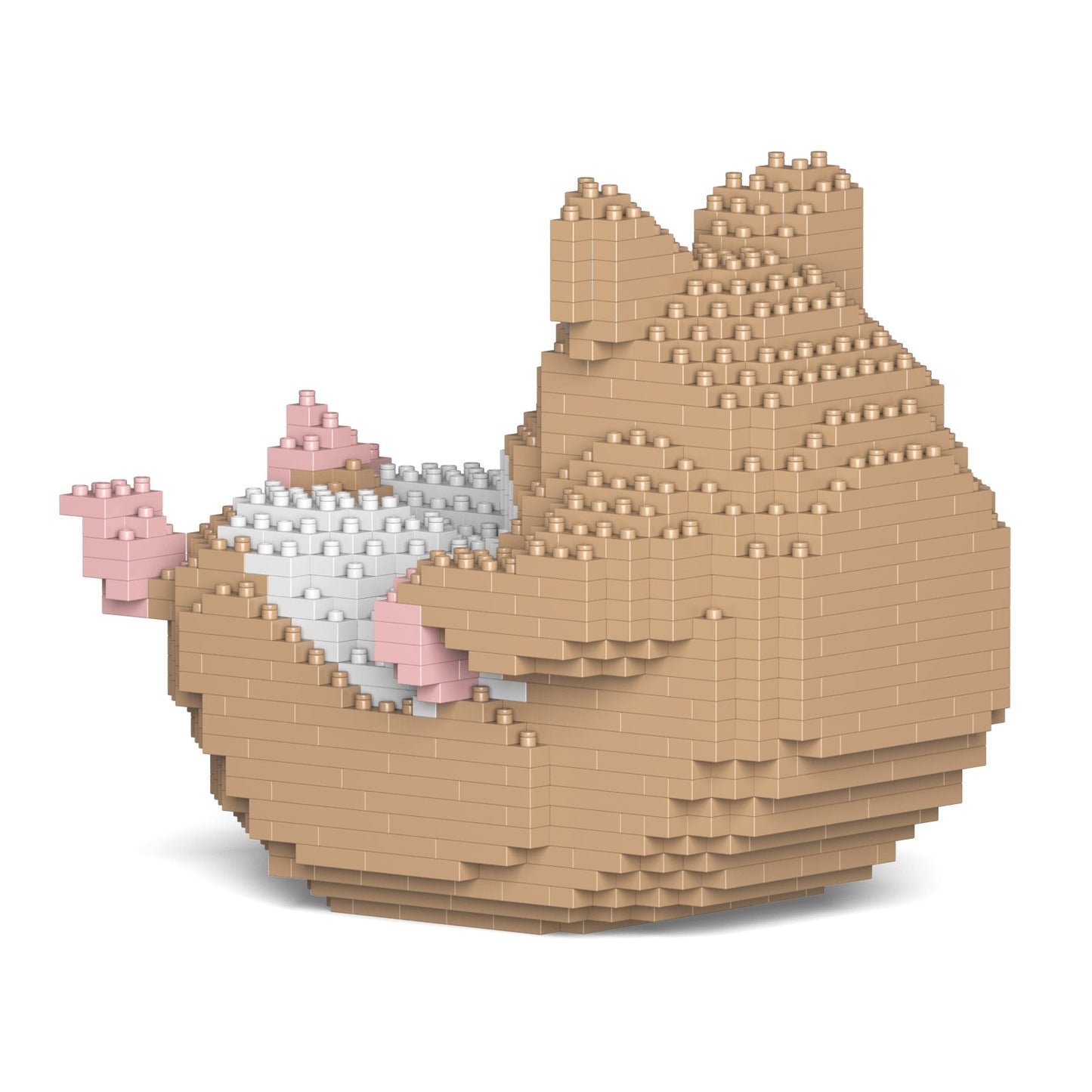 Hamster beige sur le dos