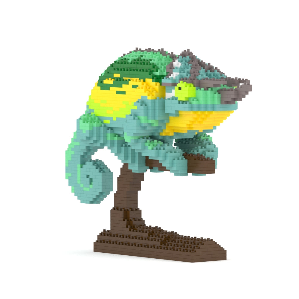 Caméléon de Jackson 01s