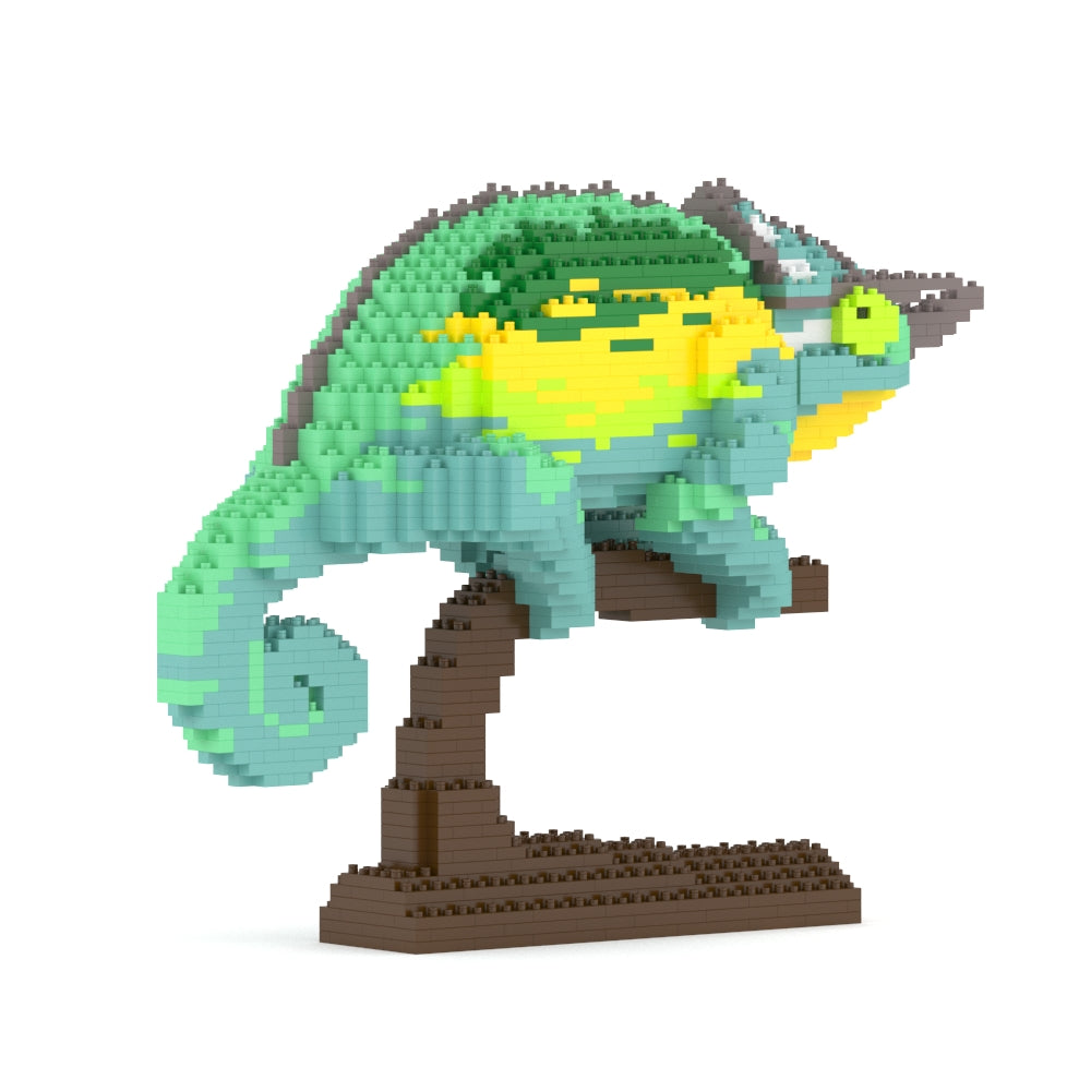 Caméléon de Jackson 01s