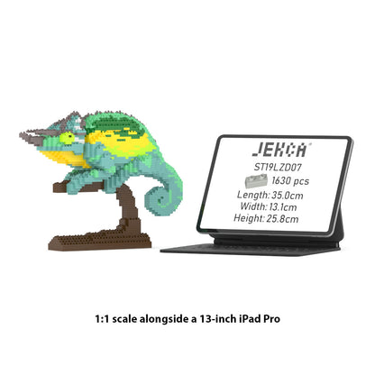 Caméléon de Jackson 01s