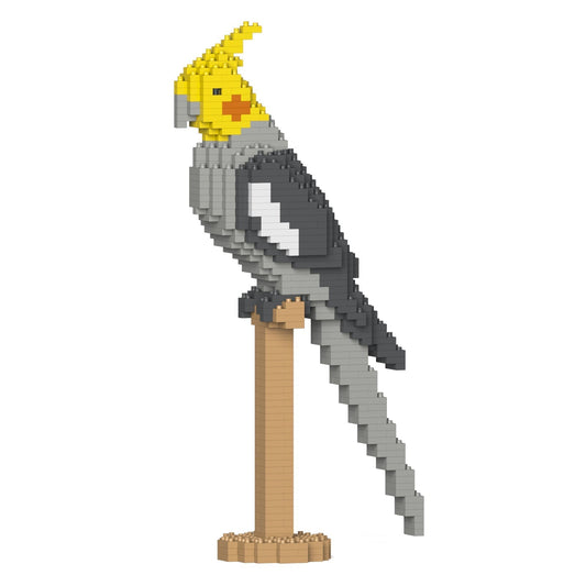 Calopsitte Elégante tête jaune