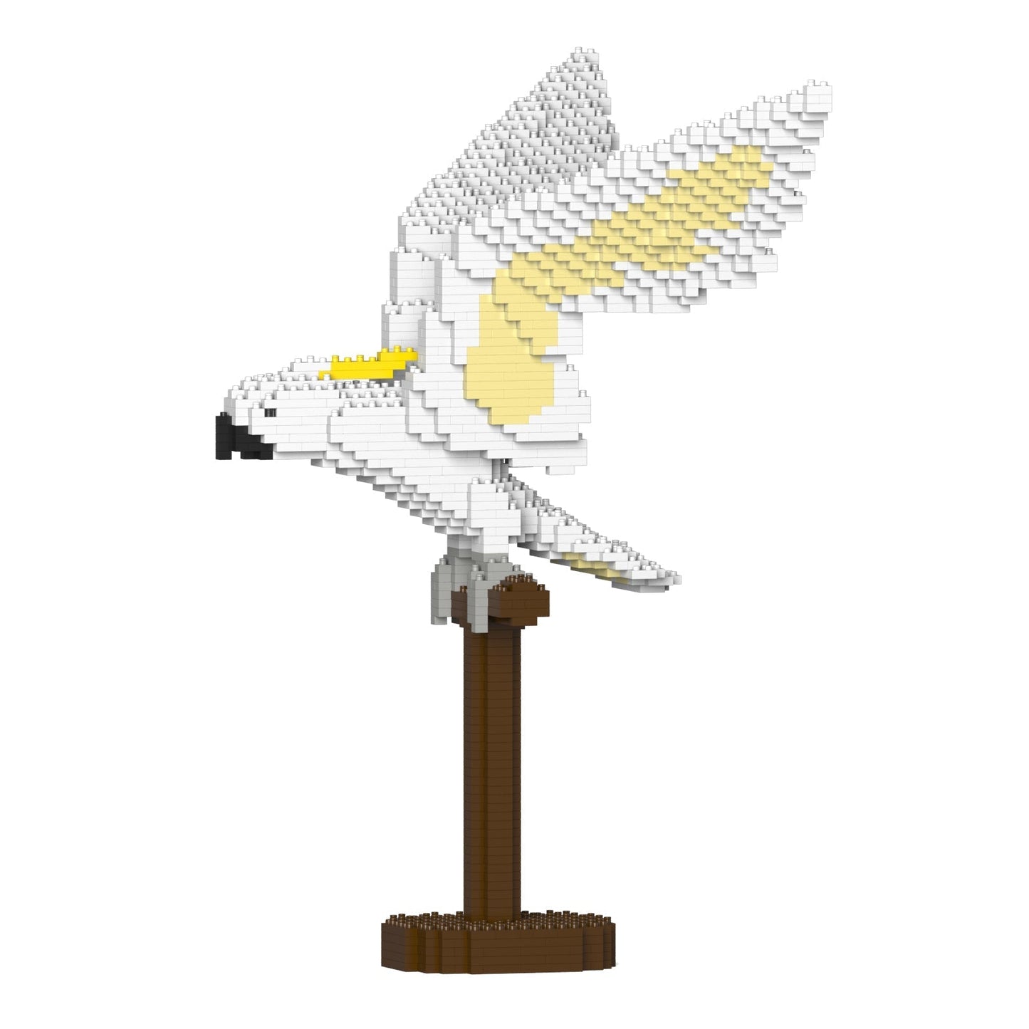 Cacatoès à huppe jaune ailes déployées