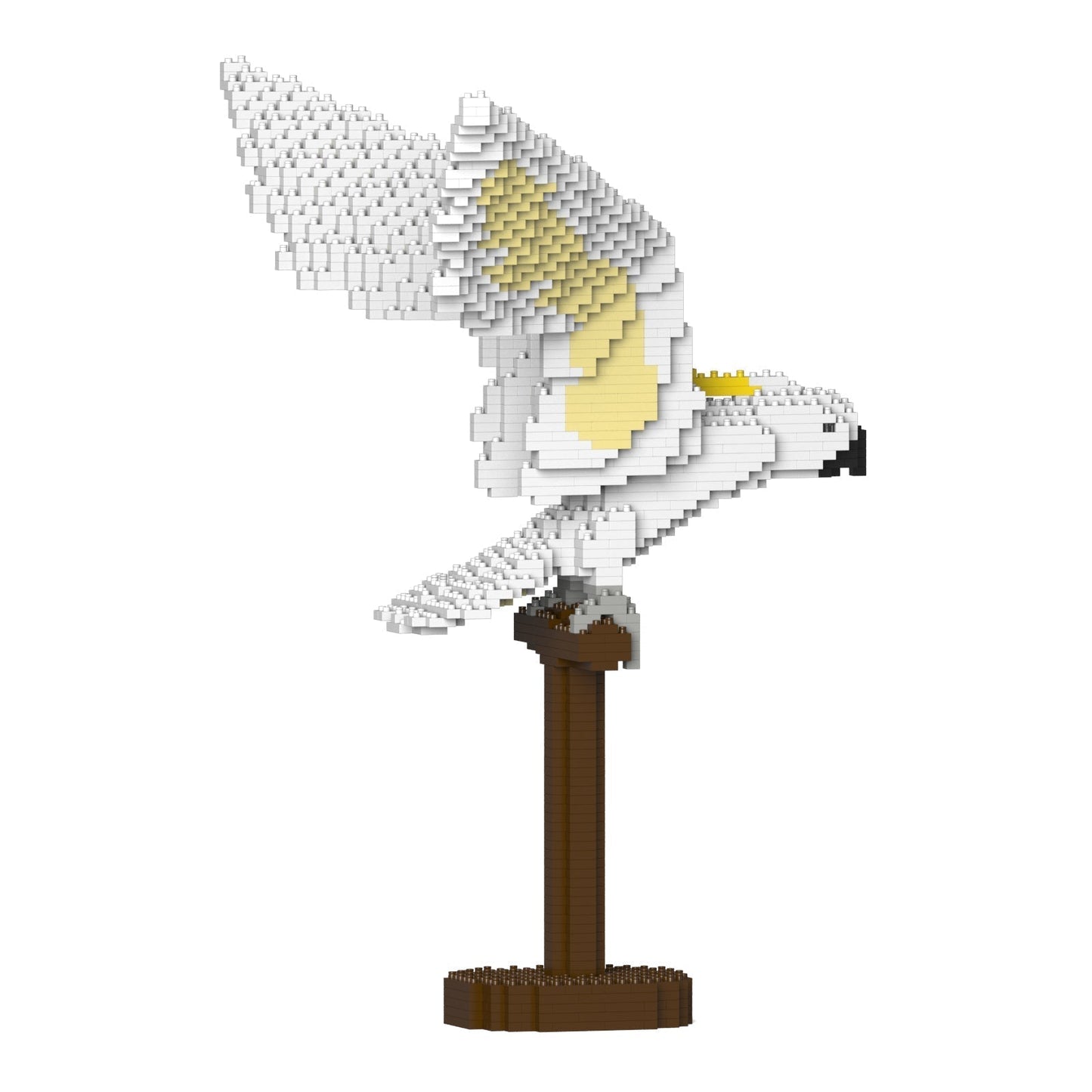 Cacatoès à huppe jaune ailes déployées