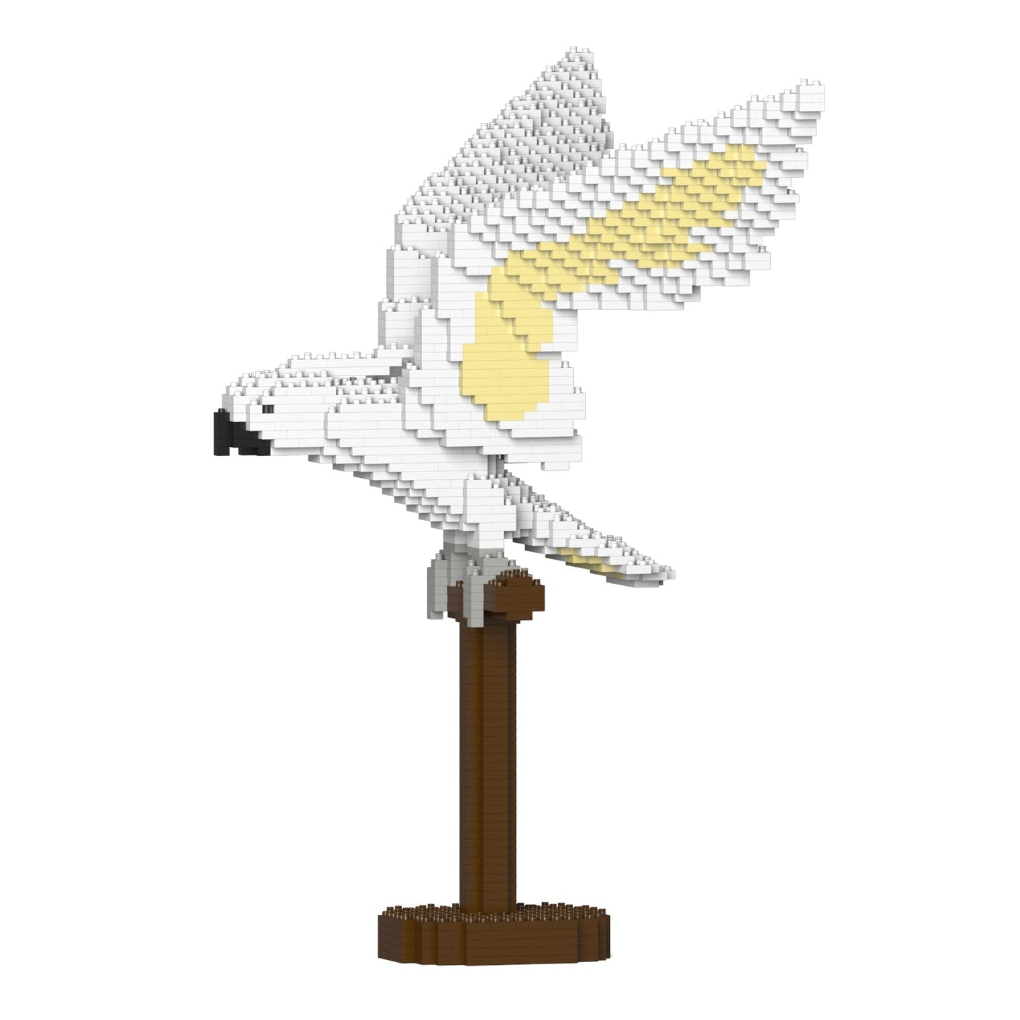 Cacatoès blanc ailes déployées