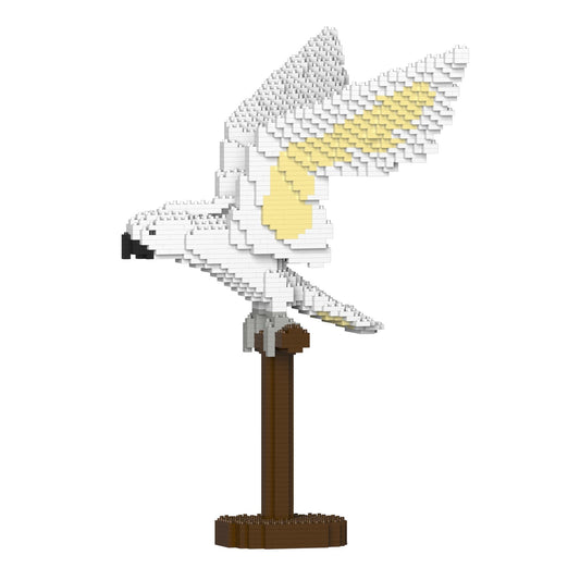 Cacatoès blanc ailes déployées