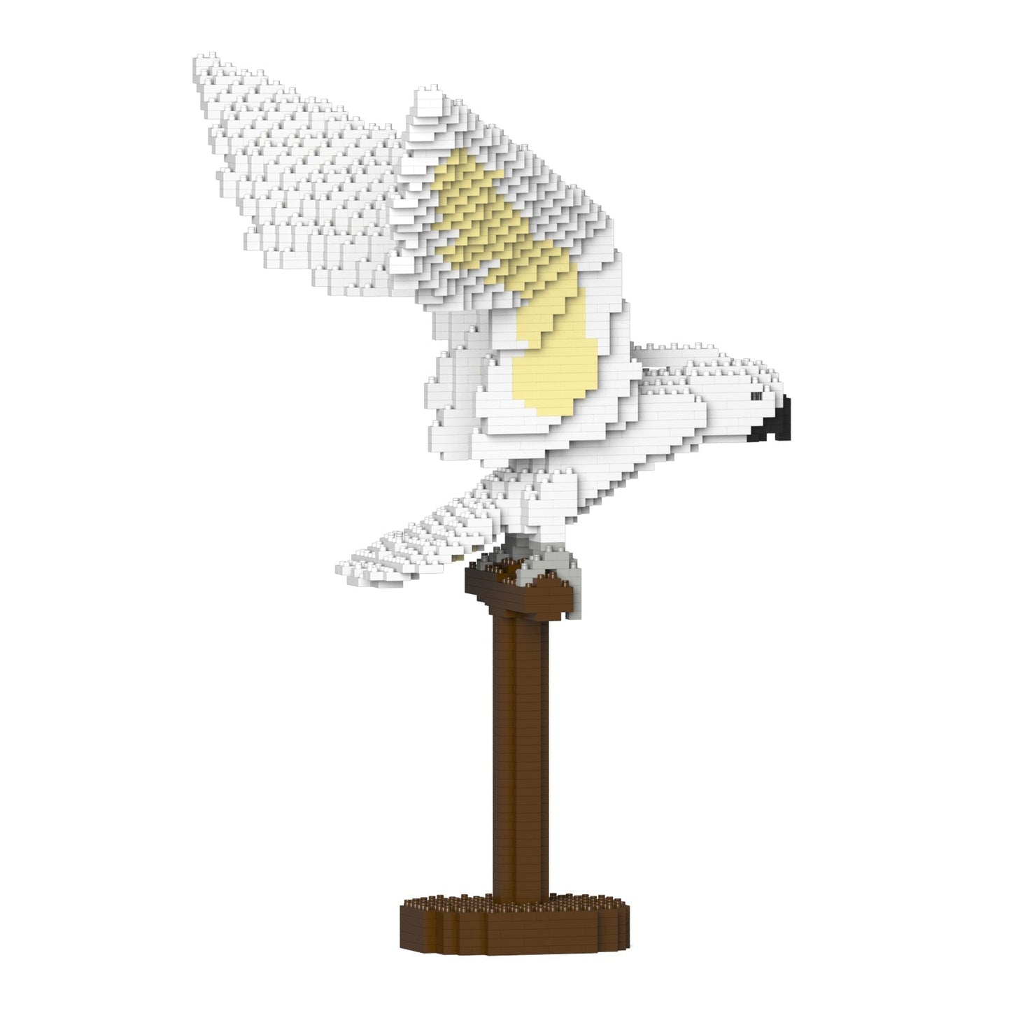 Cacatoès blanc ailes déployées